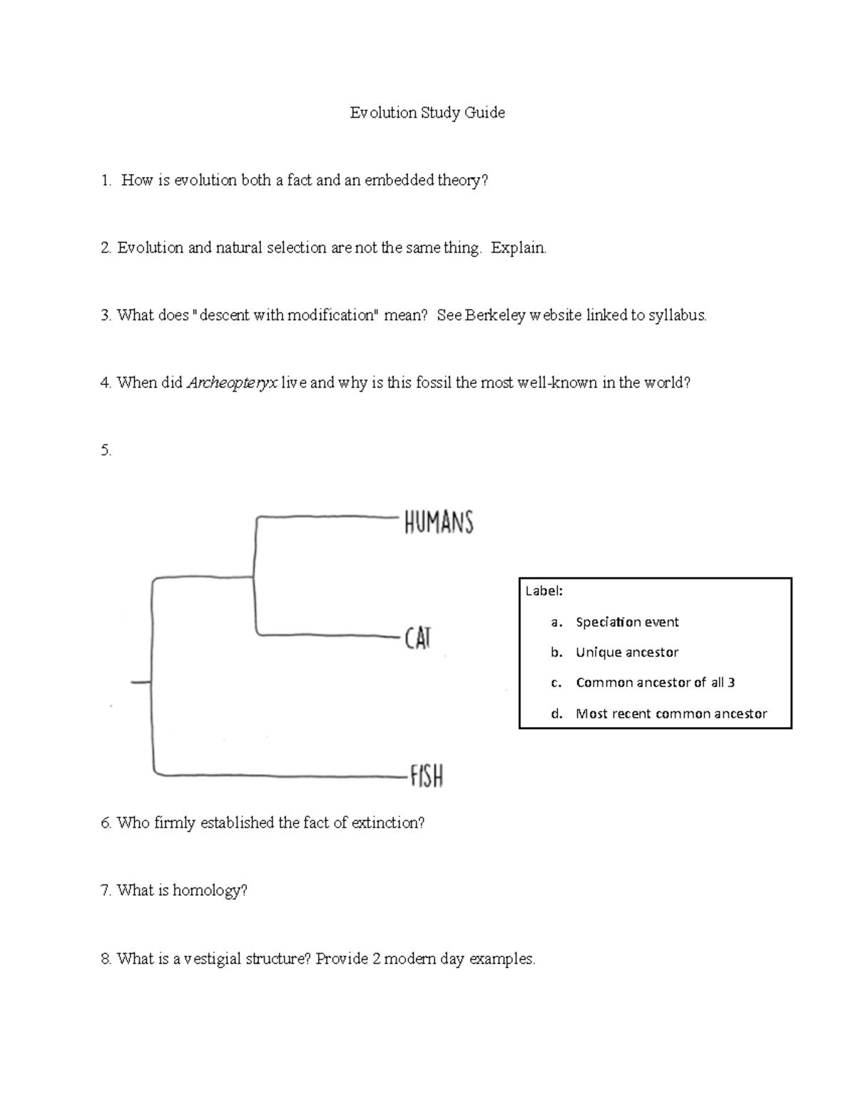 Evolution Study Guide B - Evolution Study Guide How Is Evolution Both A ...