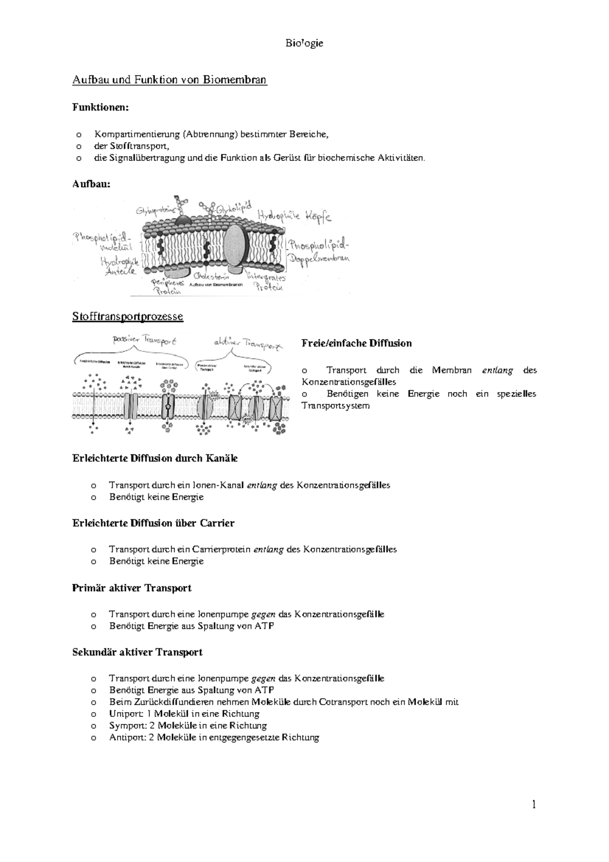 Neuro Bio Lernzettel Aufbau und Funktion von Biomembran Funktionen o