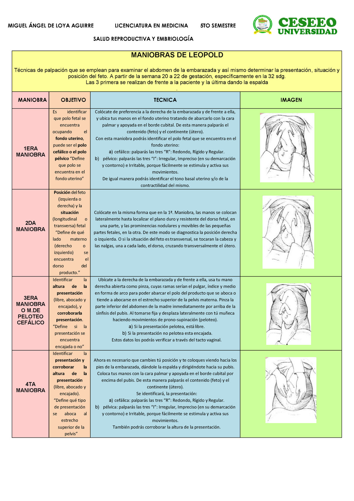 Maniobras de Leopold y Tacto en Embarazda, PDF, Reproducción humana