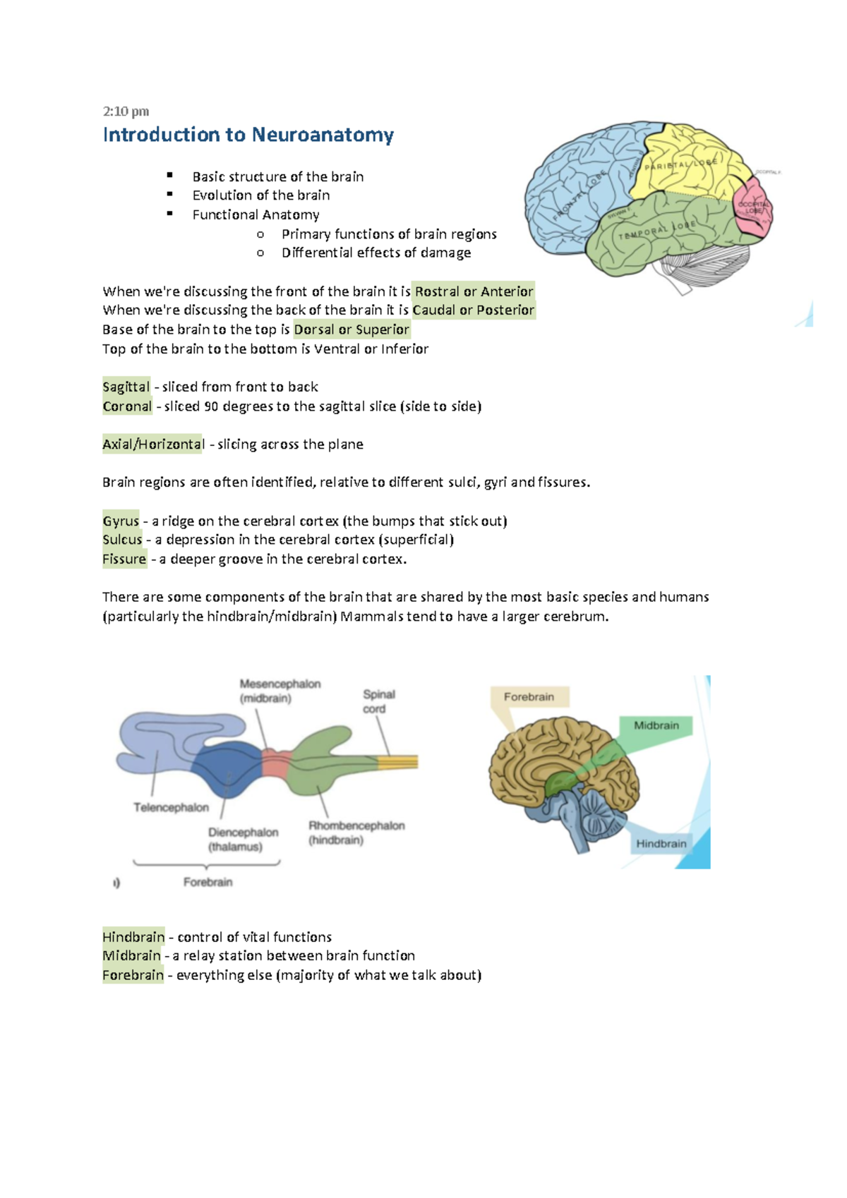 Neuroanatomy 2 10 Pm Introduction To Neuroanatomy Basic Structure Of