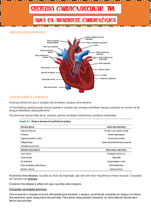 RBC: exame de sangue, transcrição, norma e valor. A contagem normal de