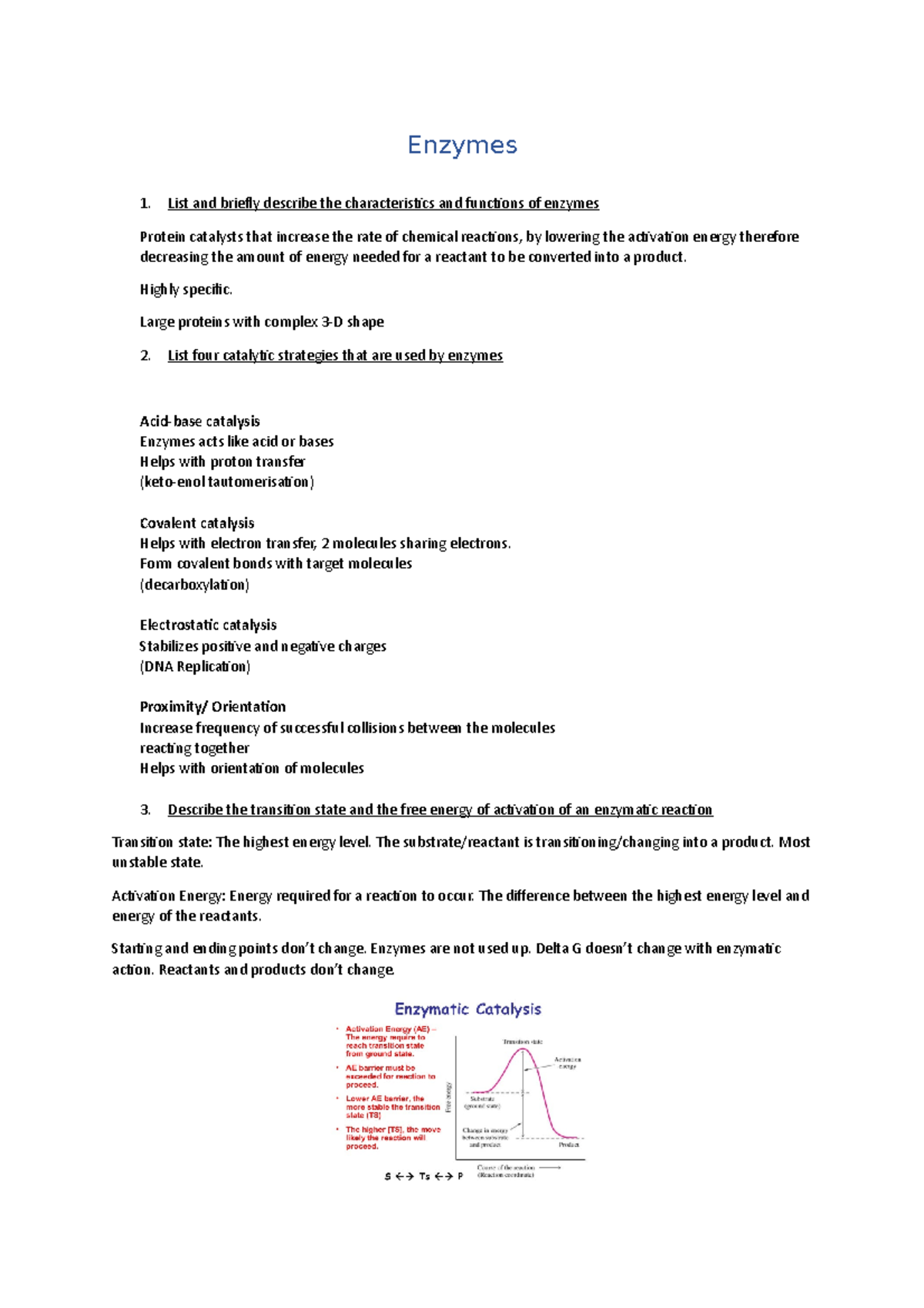 Enzymes and enzymatic reactions summary - Enzymes List and briefly ...