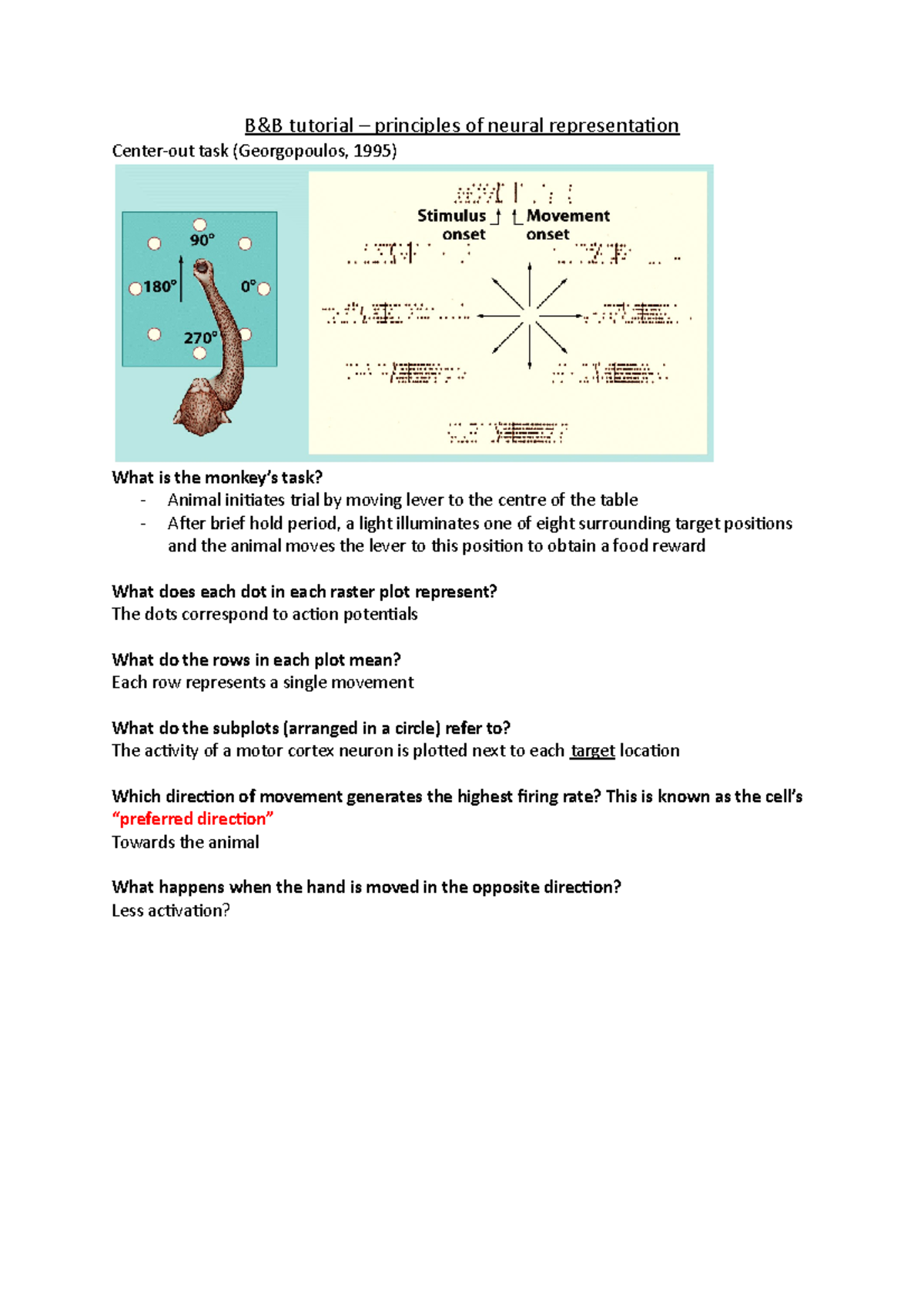 B&B Tutorial - B&B Tutorial – Principles Of Neural Representation ...