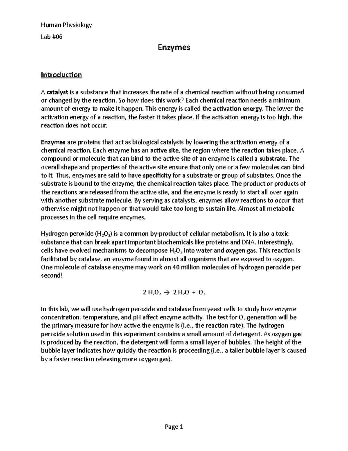 Lab 06 Enzymes Lab report. Lab Enzymes Introduction A catalyst is