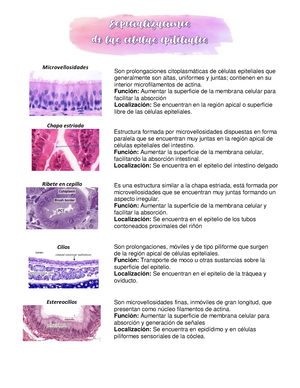 estructura de microvellosidades