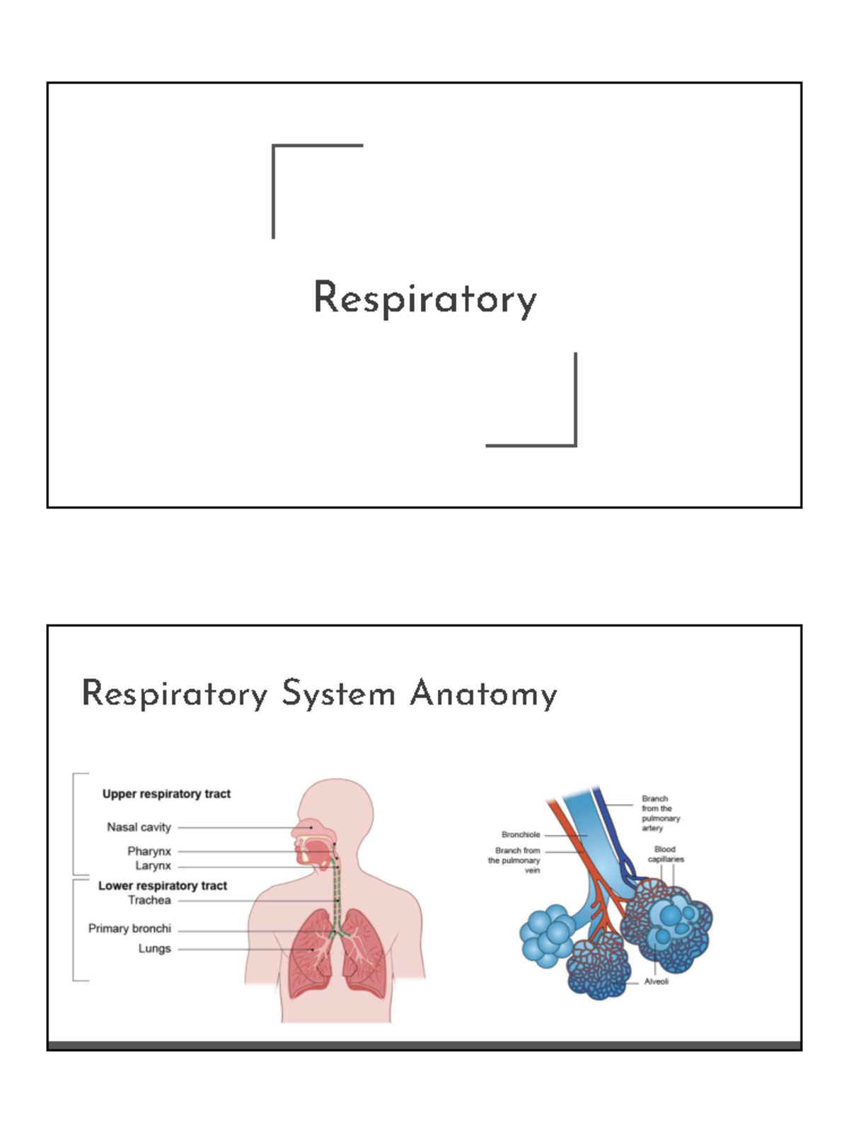 Archer Respiratory - notes needed during revision for nursing school ...