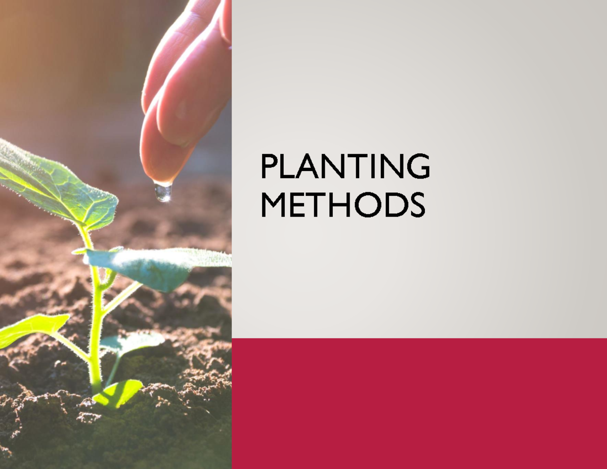 5 - for your review - PLANTING METHODS PLANTING METHODS Planting Time ...