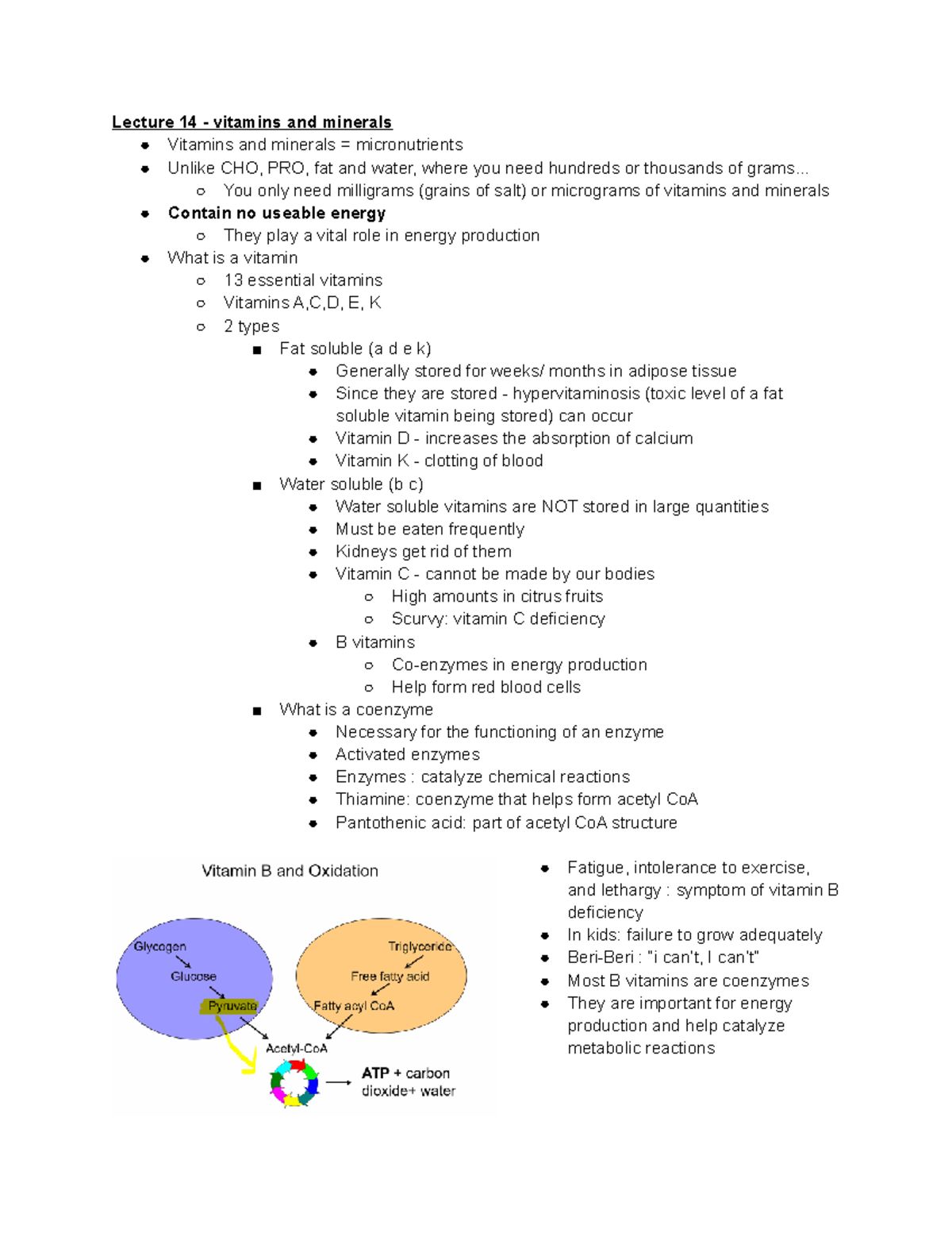 Exam 3 notes Kin 110 Lecture 14 vitamins and minerals Vitamins and