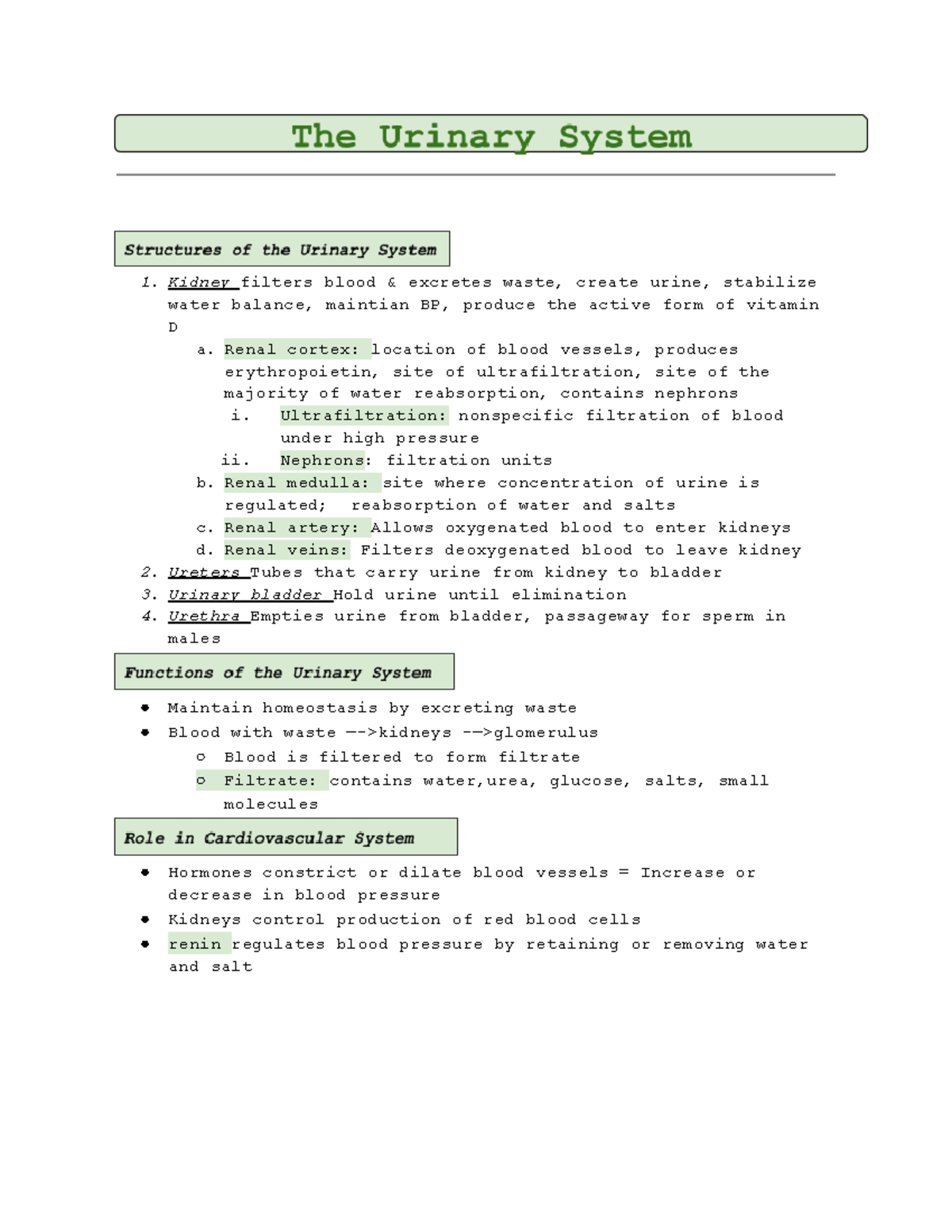 Urinary system overview Kidney filters blood & excretes waste, create