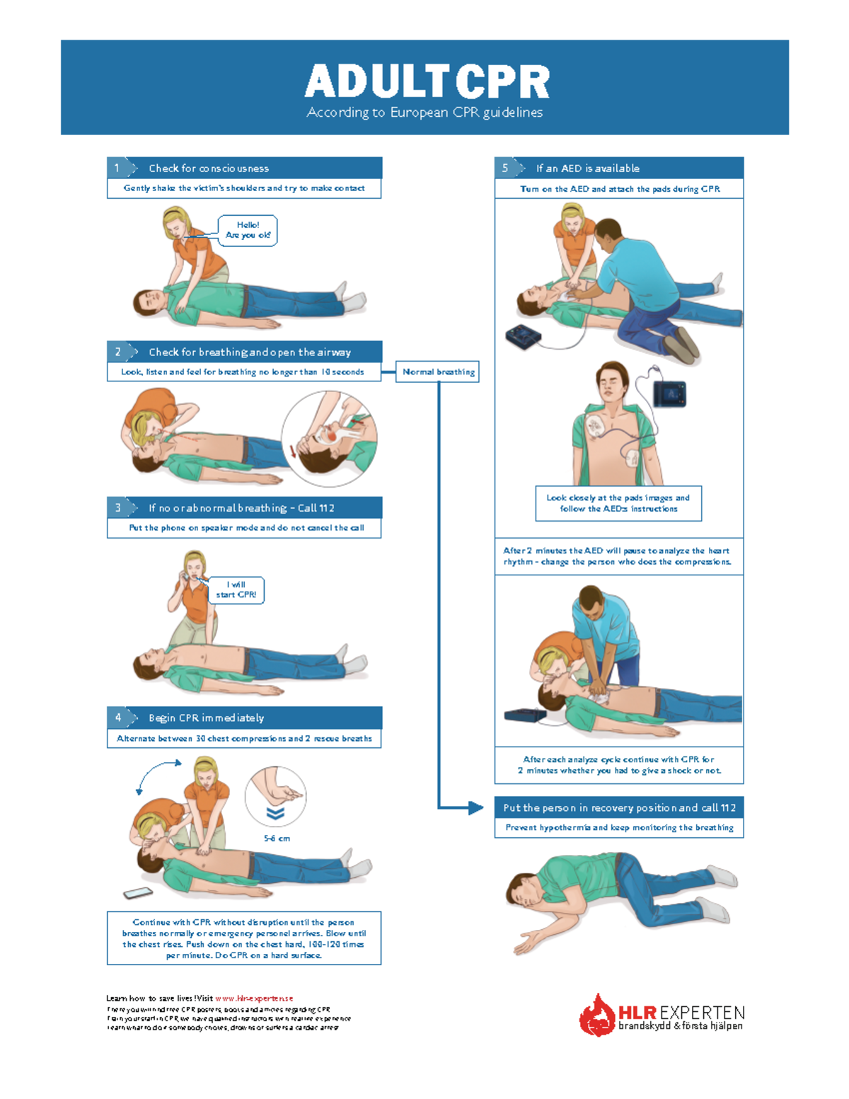 Adult cpr - Nooooo - 1 Check for consciousness According to European ...