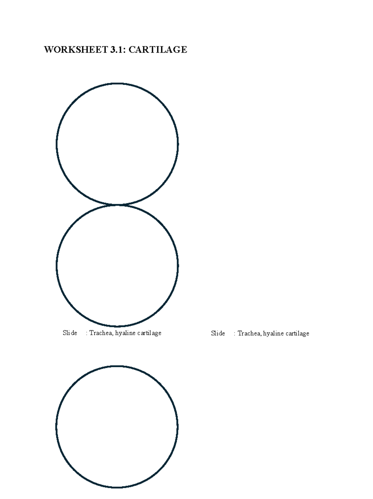 ZOO 3000 F24 Lab Manual - LAB 3 worksheets only WORD - WORKSHEET 3 ...
