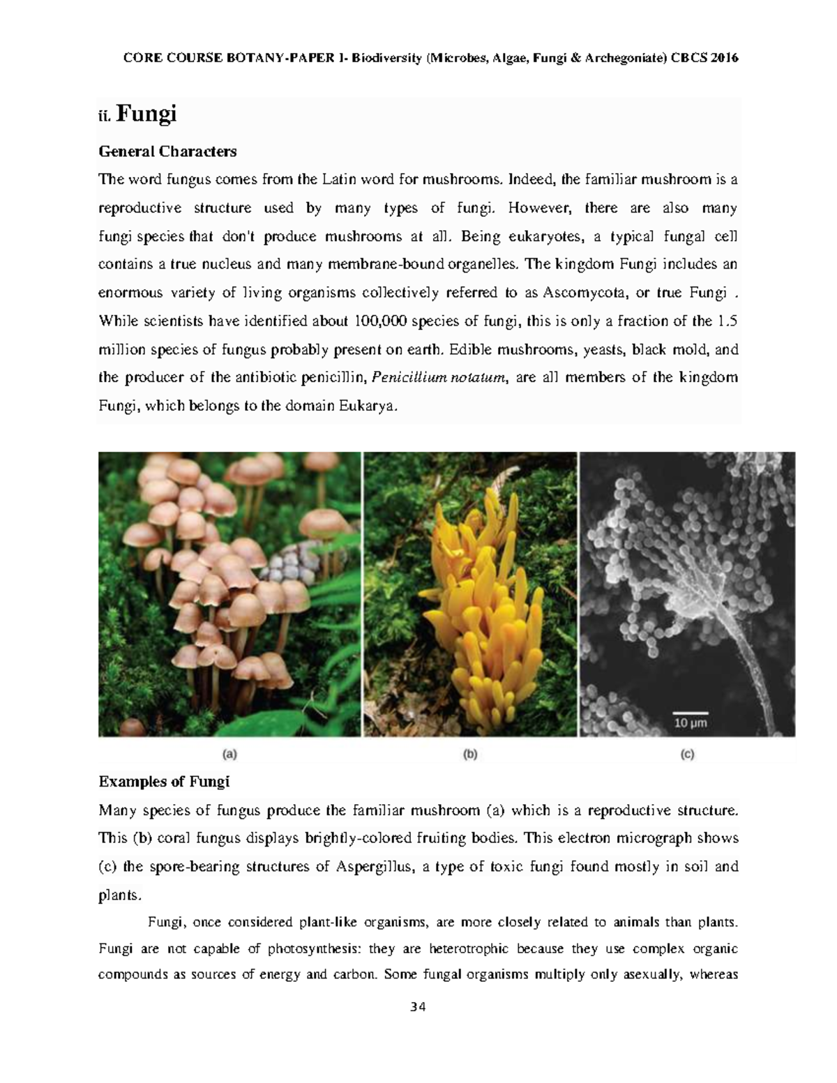 Fungi ii. Fungi General Characters The word fungus comes from the