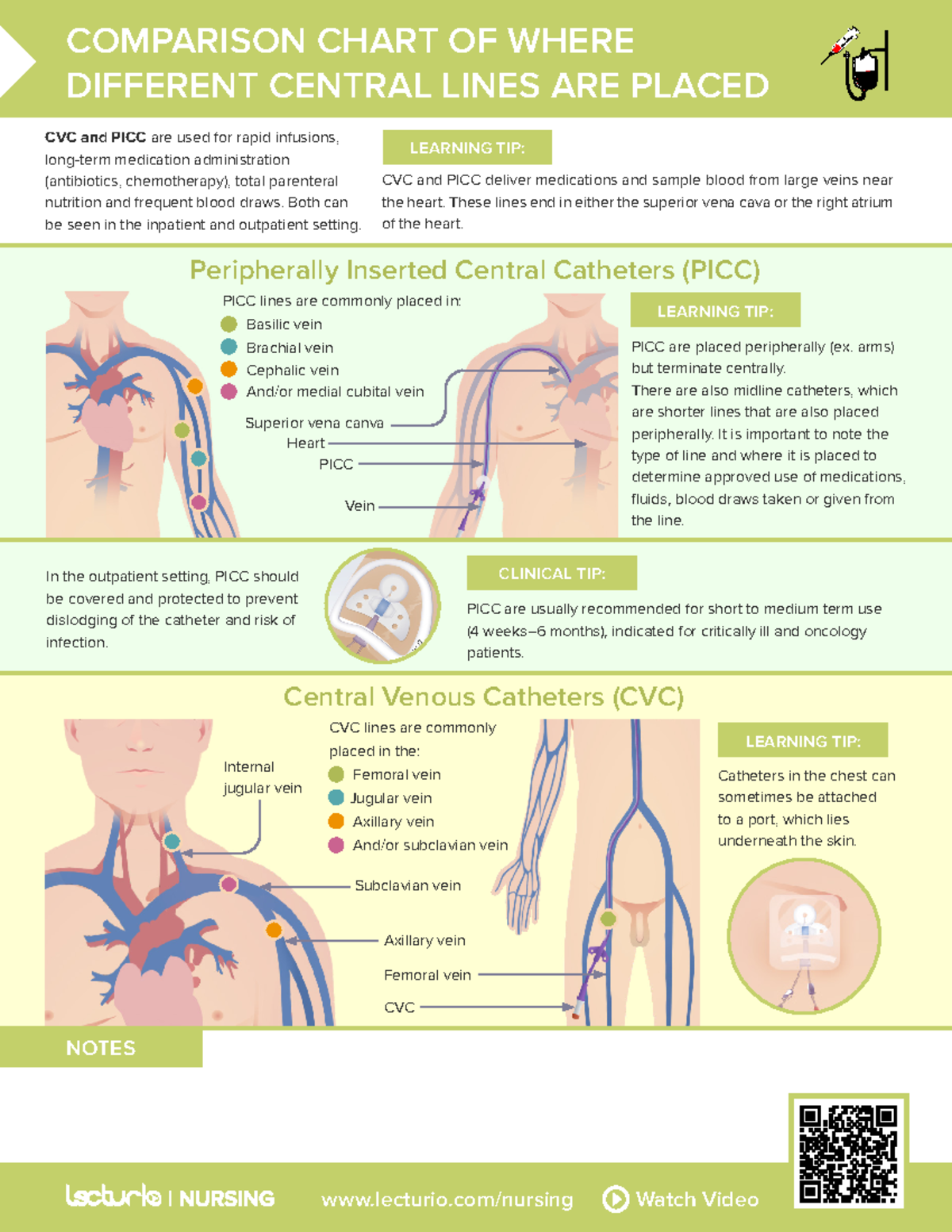 Nursing CS Comparison-Chart-of-Where-Different-Central-Lines-Are-Placed ...