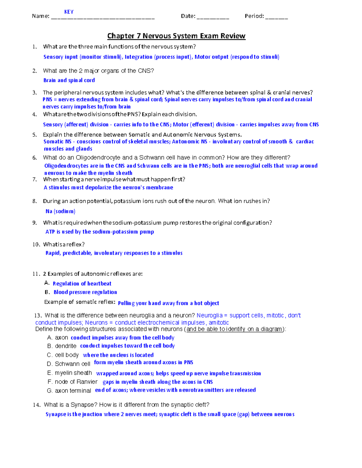 Chapter+7+Nervous+System++Exam+Review-+KEY - Name ...