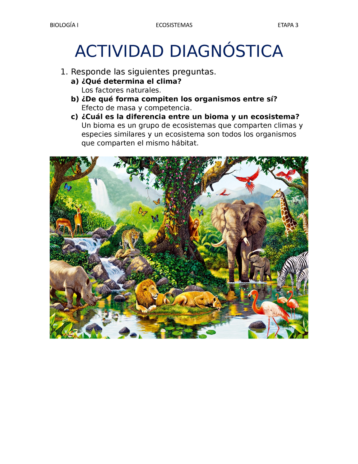 Ecosistema Que Es Tipos Y 101 Ejemplos Ovacen Factores Bioticos Y Images 6746