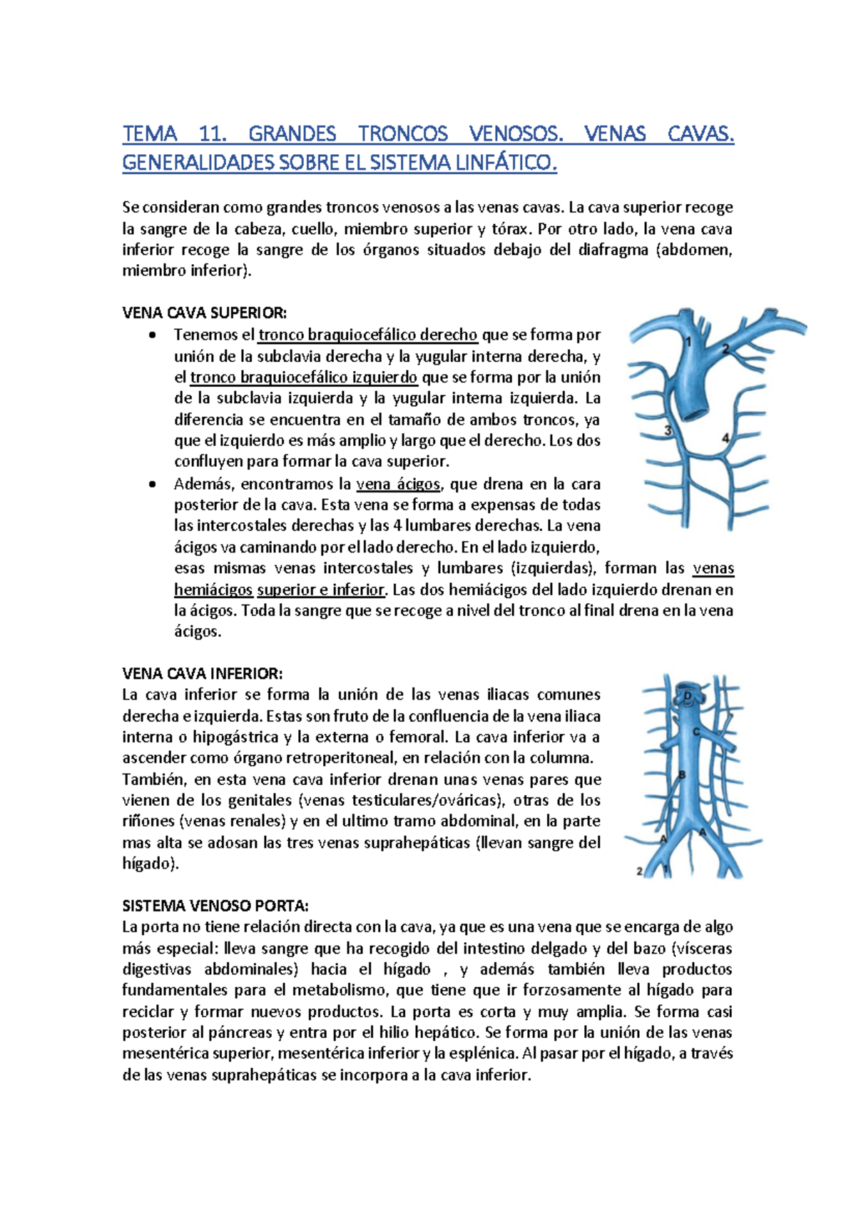 TEMA 11 - Apuntes 1 - Warning: TT: Undefined Function: 32 Warning: TT ...