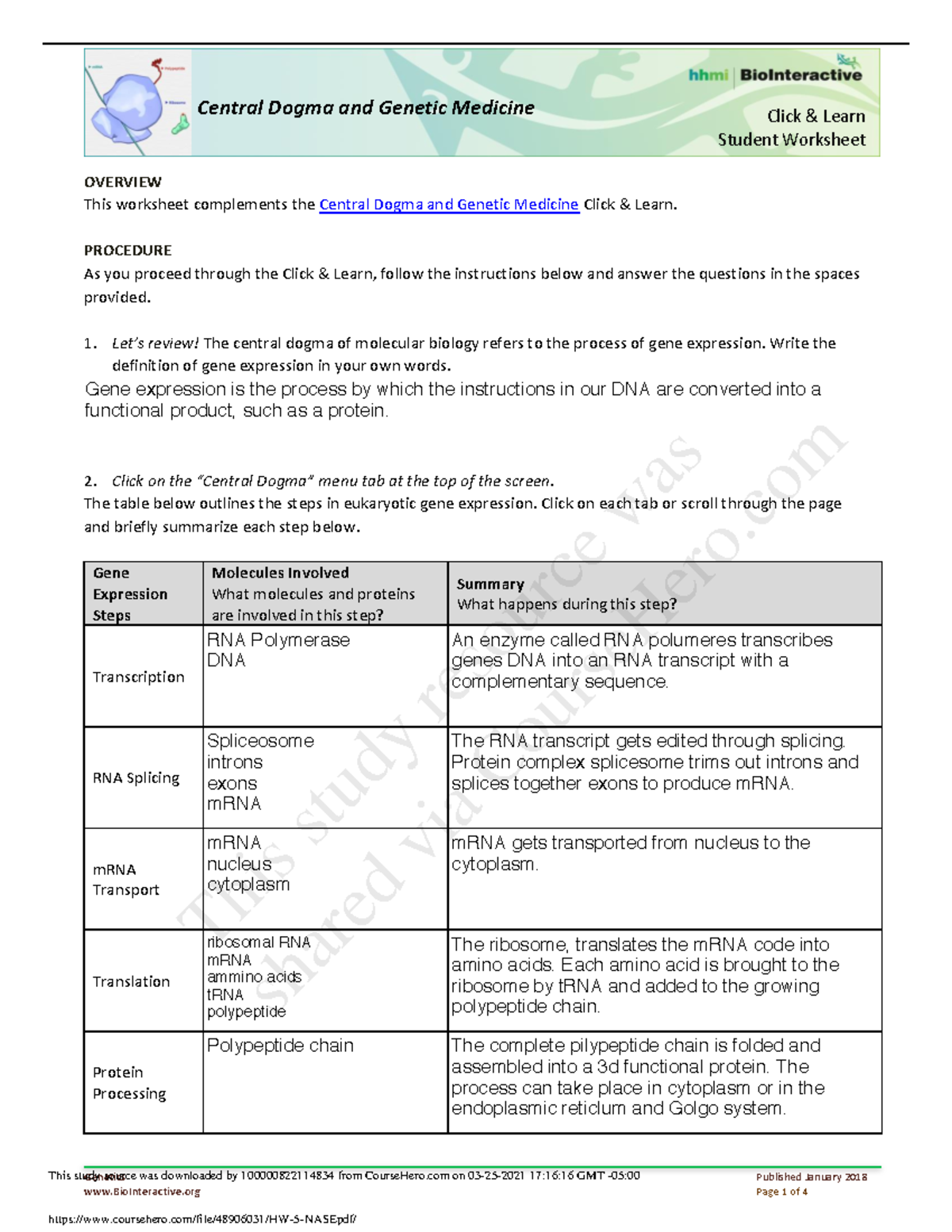 Hw 5 Nase Hw 5 Nase Geics Published January 2018 Biointeractive Studocu