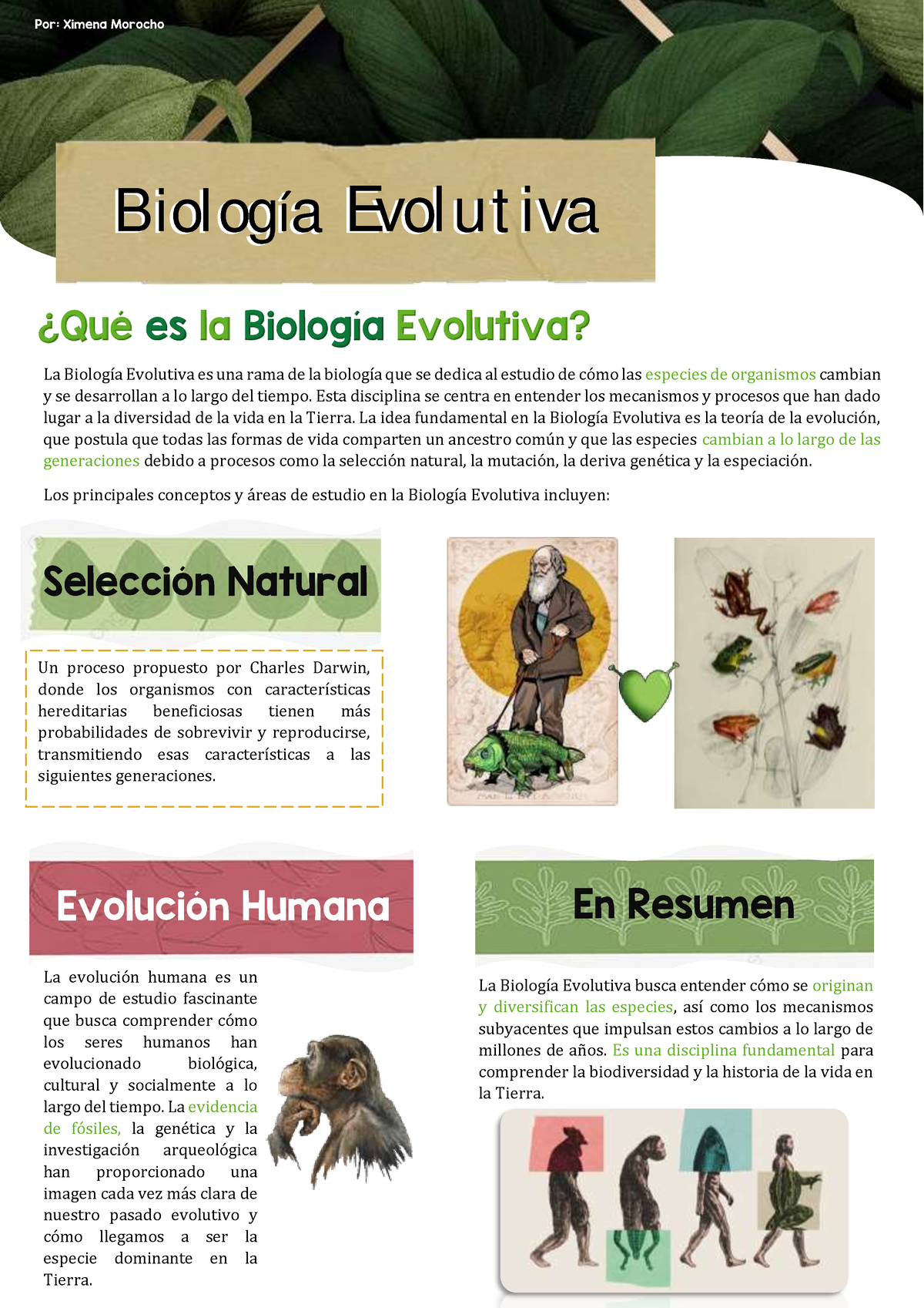 Biologia Evolutiva - Esta Disciplina Se Centra En Entender Los ...