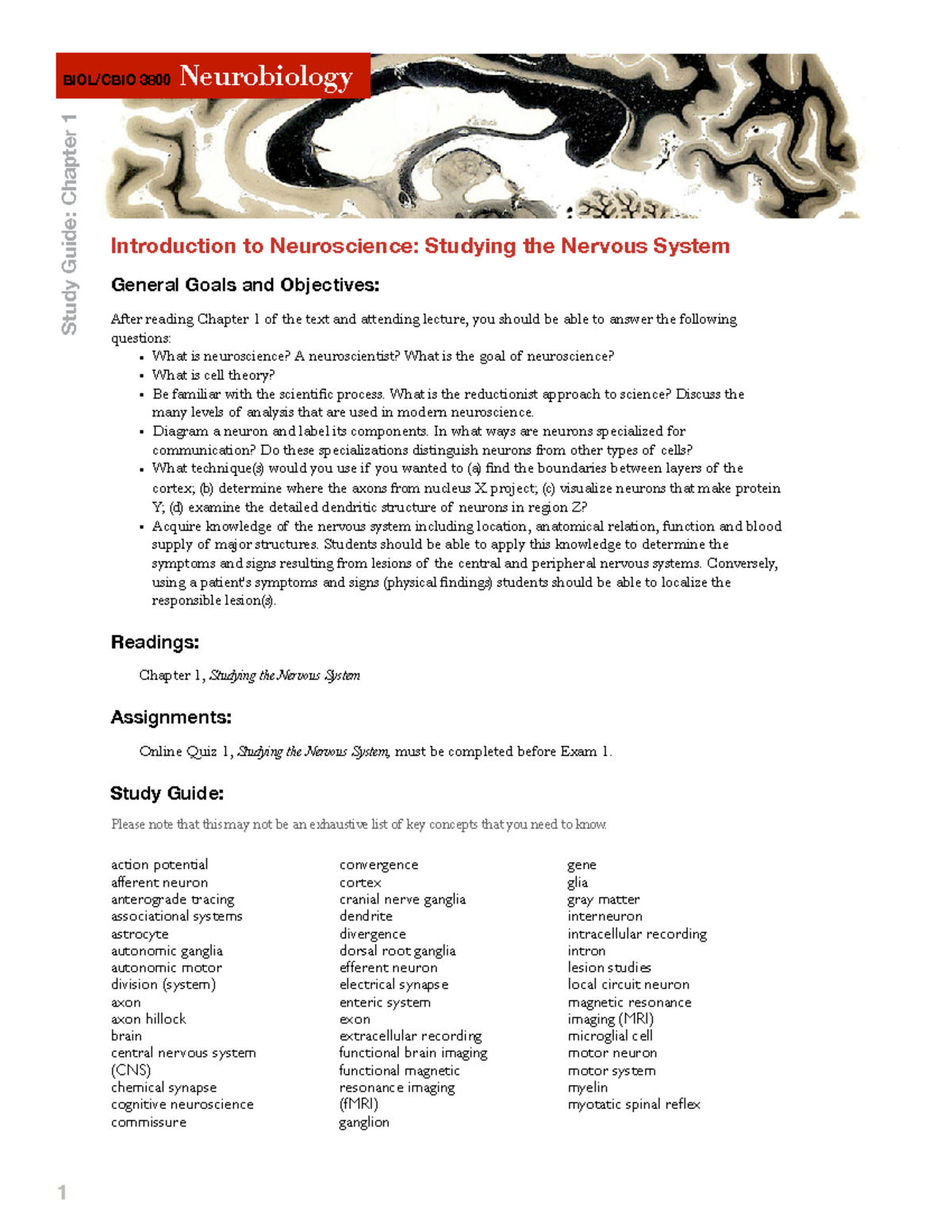 Chapter 01 Study Guide - 1 Introduction To Neuroscience: Studying The ...