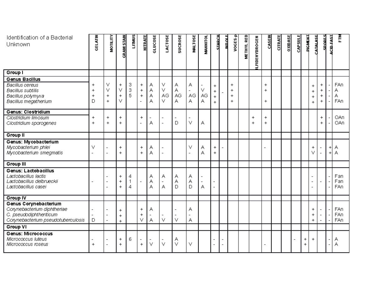 Unknown - Test Results for Organisms - Identification of a Bacterial ...