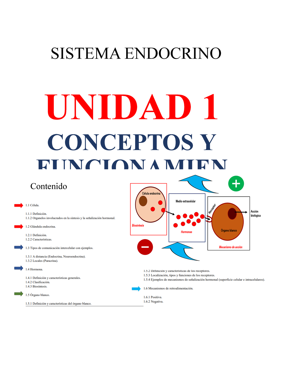 ‎conceptos Endocrinos - SISTEMA ENDOCRINO UNIDAD 1 CONCEPTOS Y ...