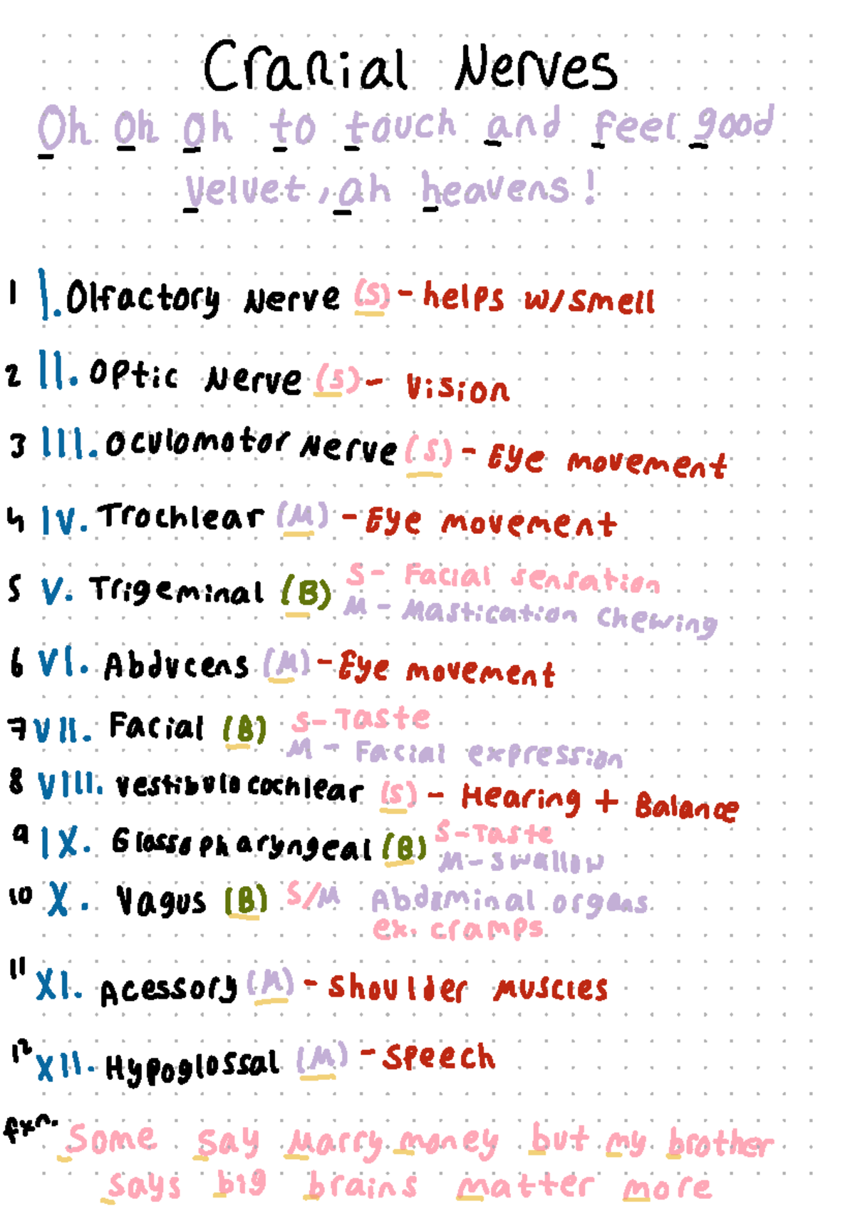 Cranial nerves - NUR 310 - Studocu