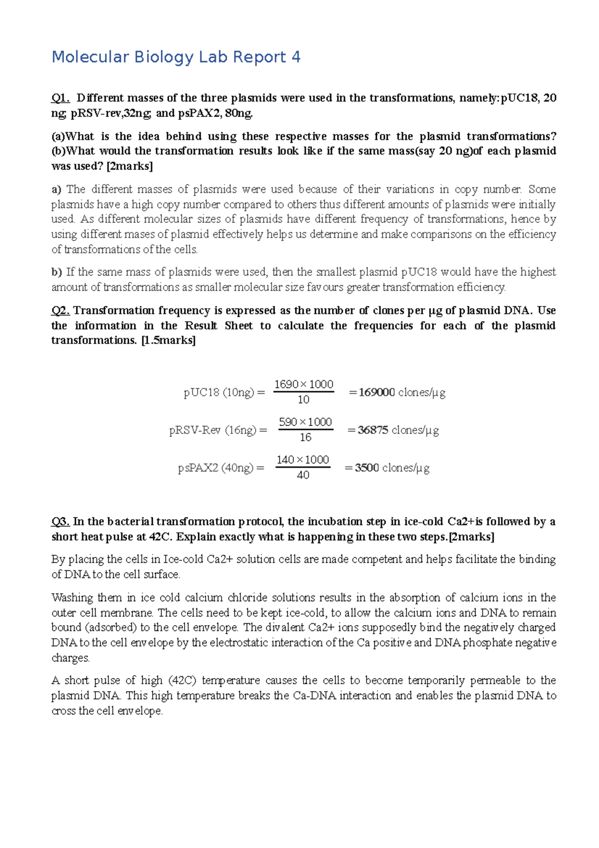 Molecular Biology Lab report 4 091132 Studocu