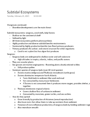 Coral reefs and epipelagic - Coral reef - nutrient cycling Once ... - Nutrient Cycling In Coral Reefs