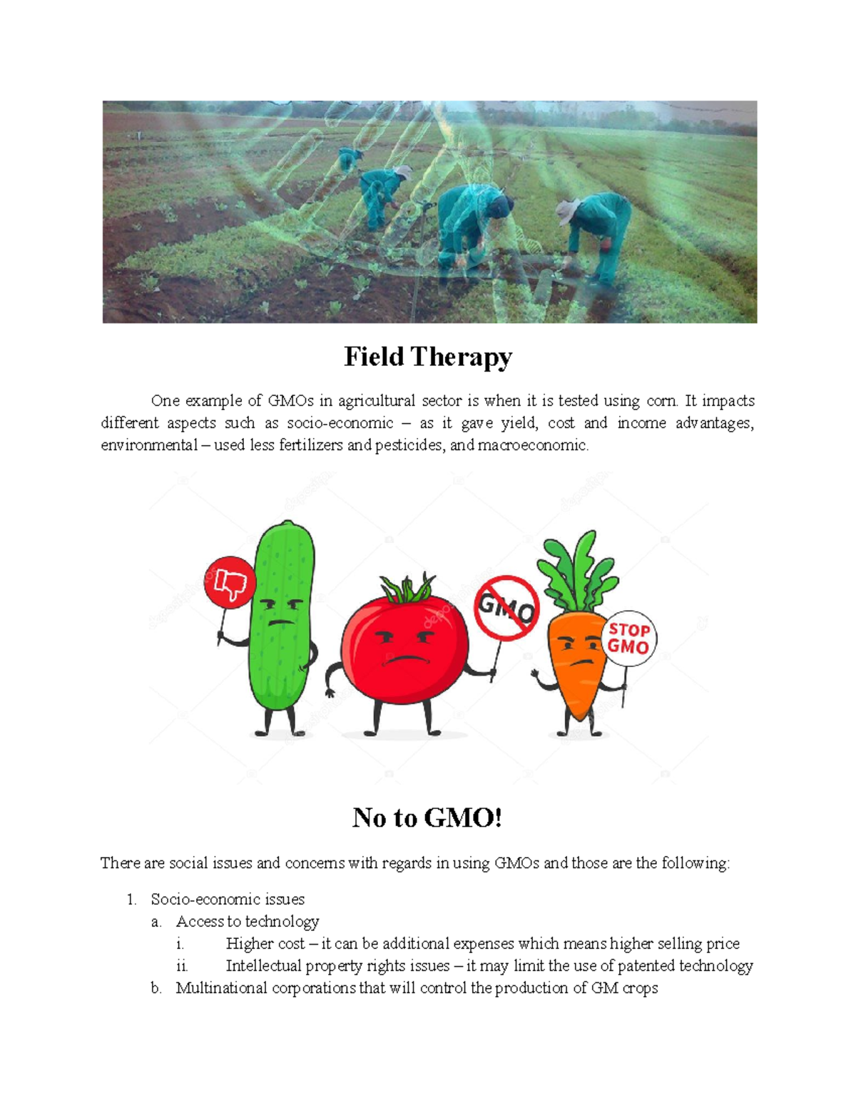 Sts pic journal - STS - Field Therapy One example of GMOs in ...