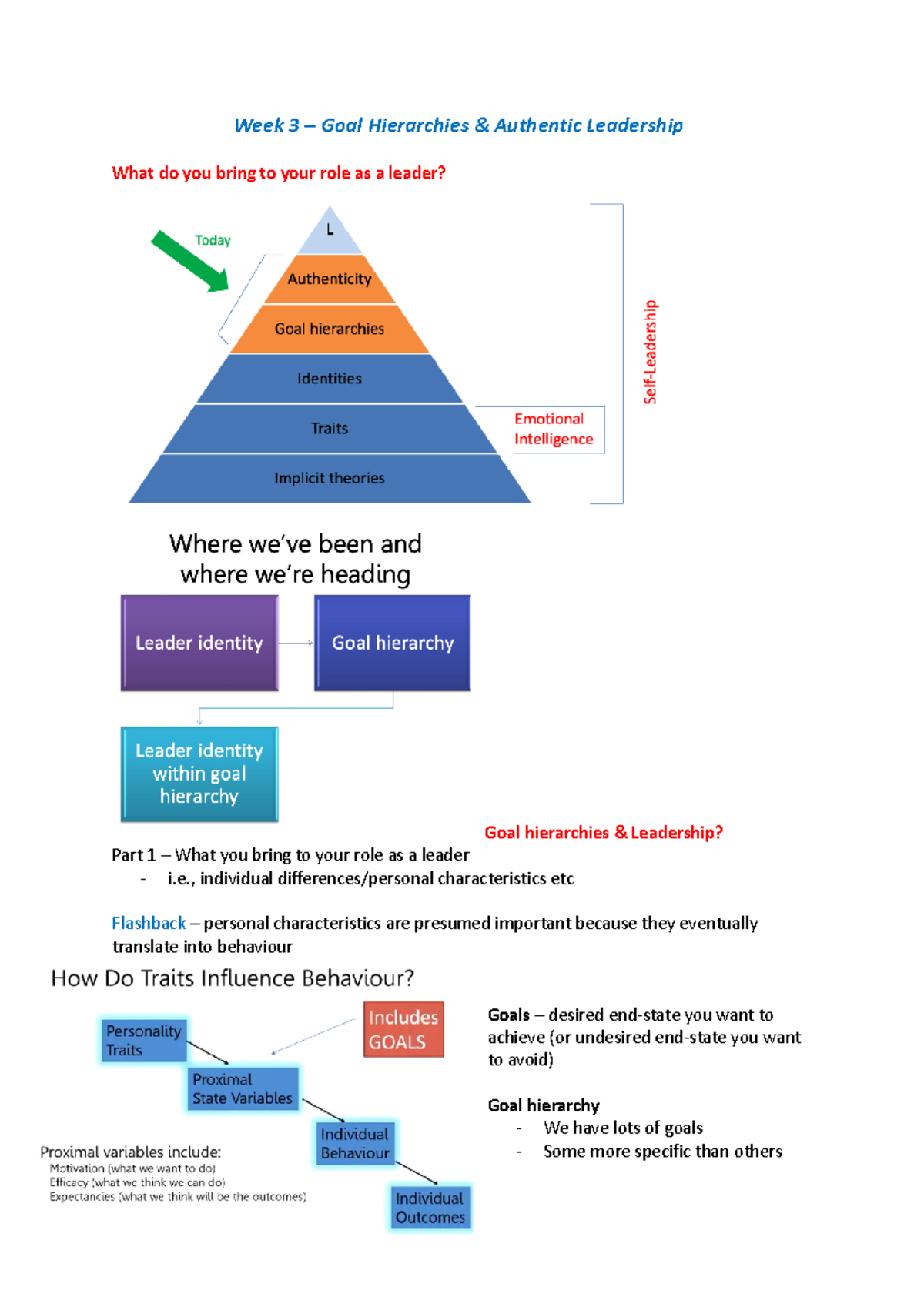 Leadership - Week 3 - Week 3 – Goal Hierarchies & Authentic Leadership ...