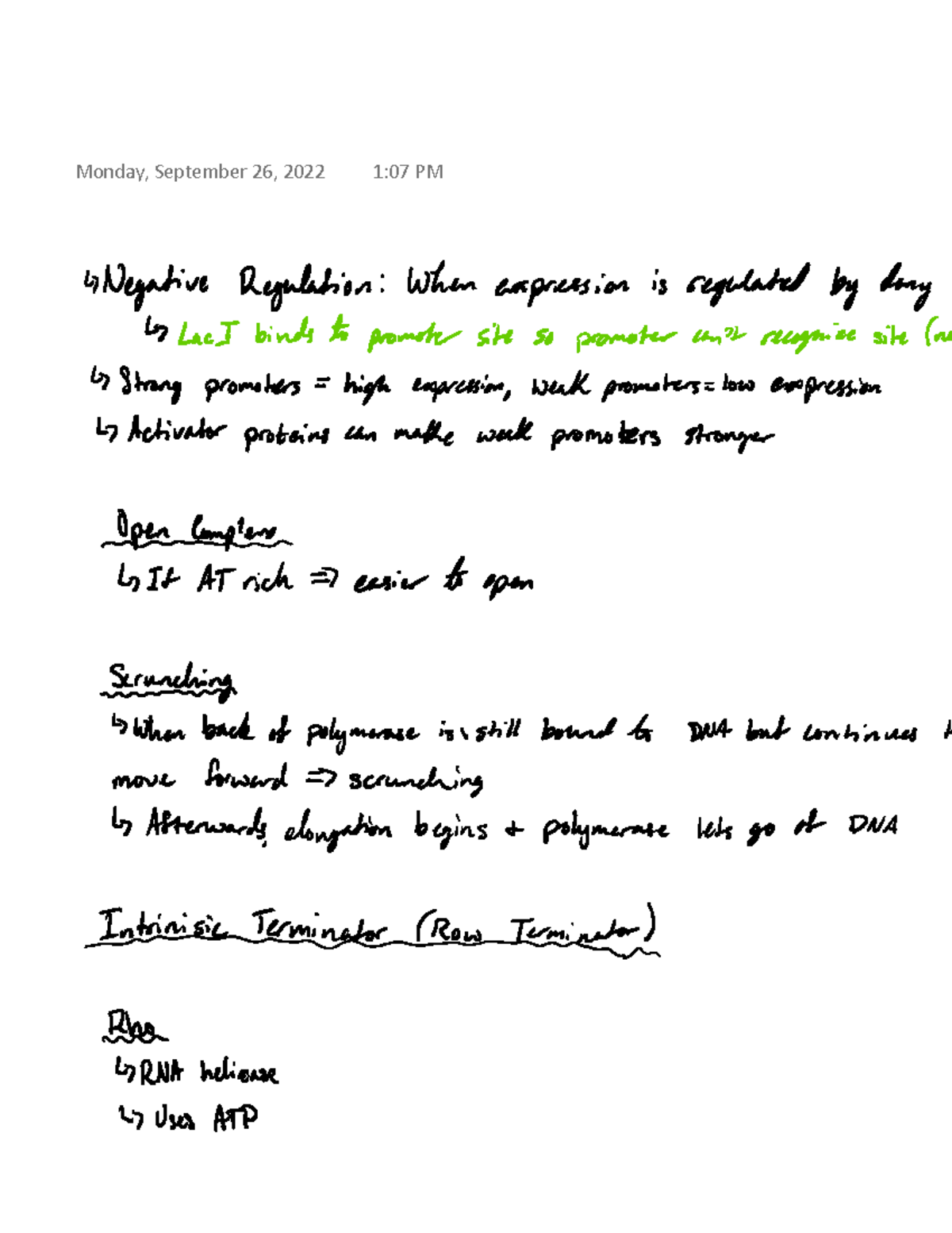 Promoters - Slauch, MCB 250 - MCB 250 - Monday, September 26, 2022 1:07 ...