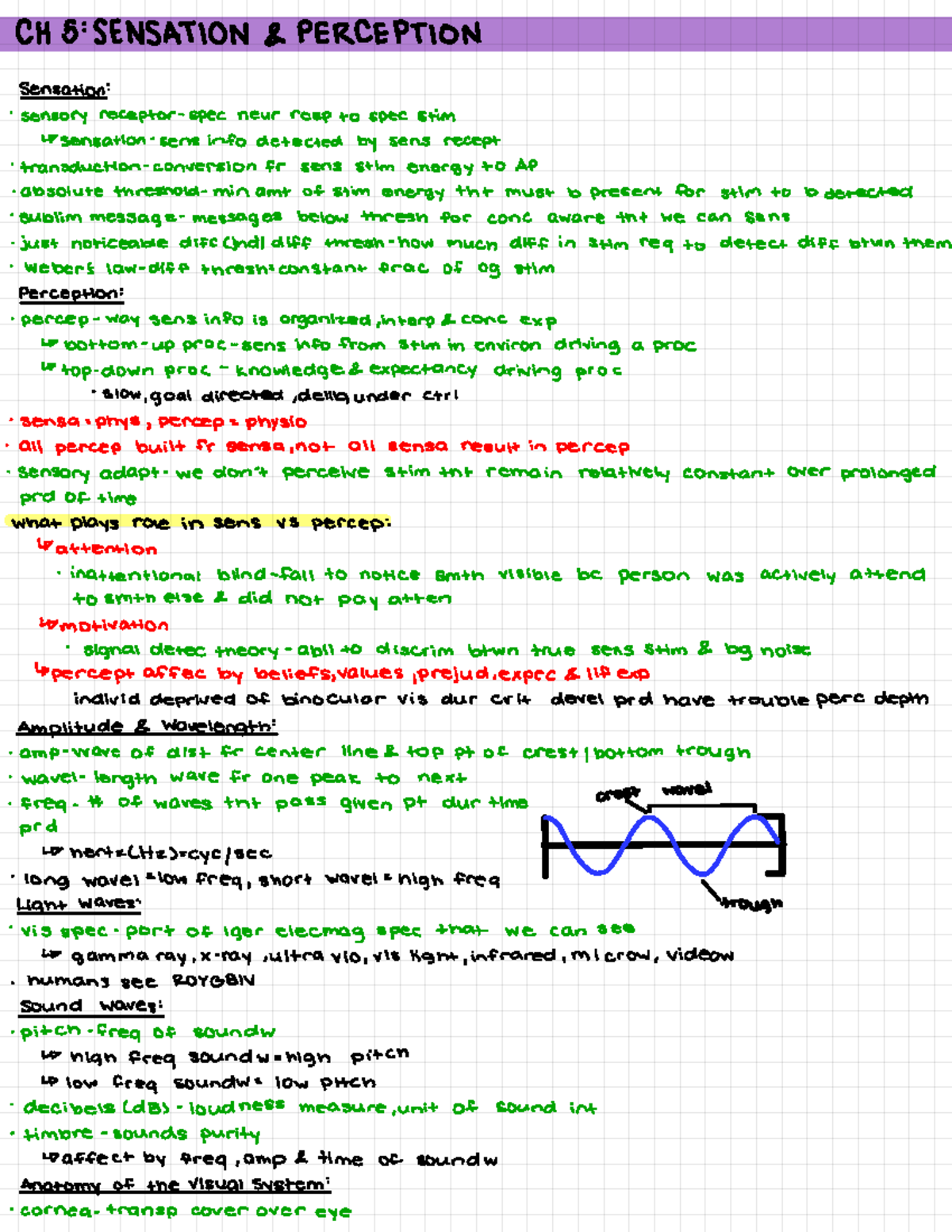 Ch 5 - Chapter 5 lecture notes. - CH 5 : SENSATION & PERCEPTION ...