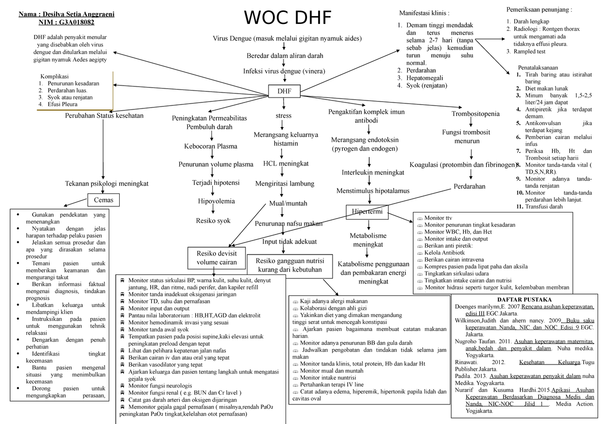 WOC DHF - WOC_DHF.docx - WOC DHF Virus Dengue (masuk melalui gigitan ...