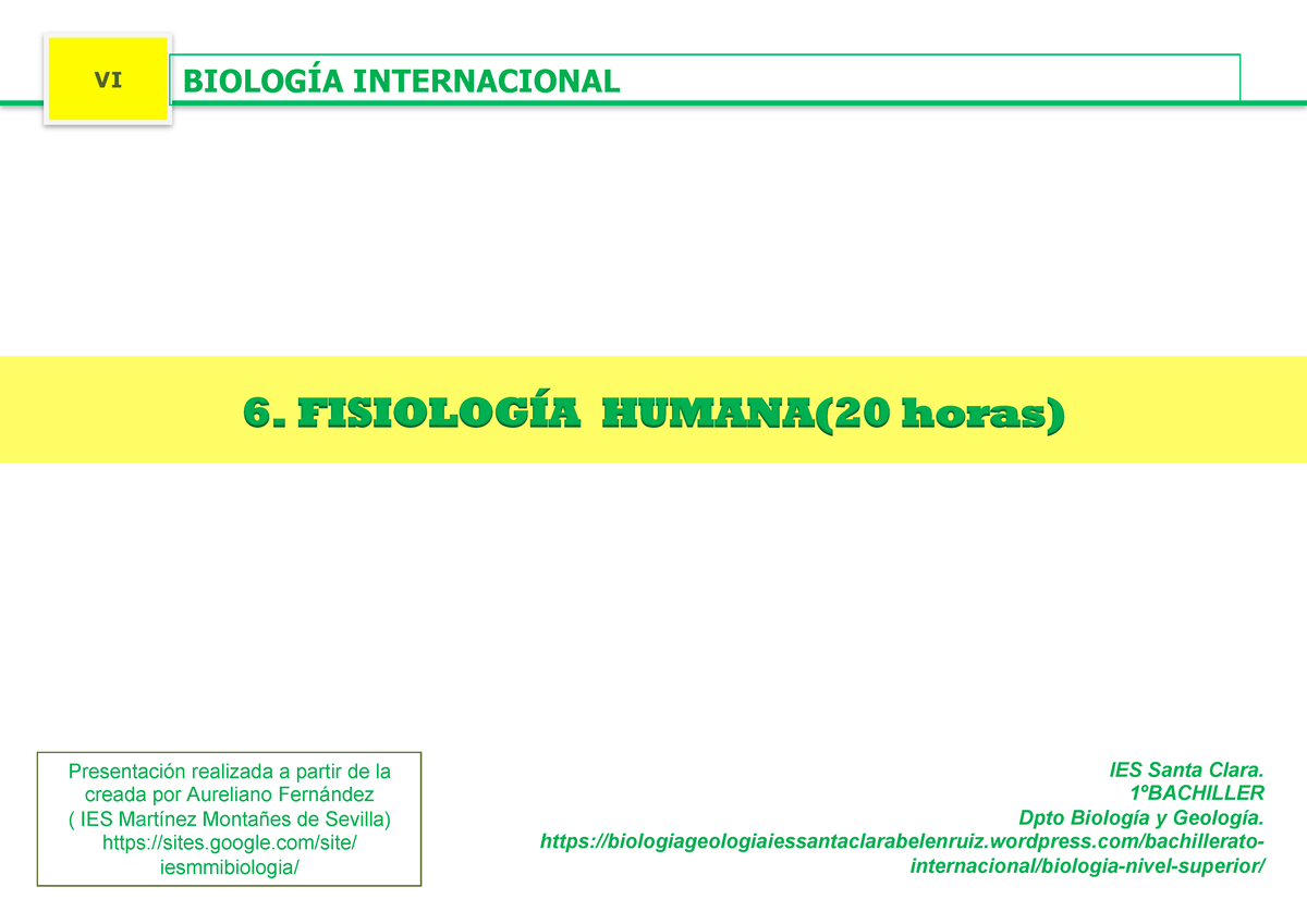 Intercambio de gases Ib - VI BIOLOGÍA INTERNACIONAL IES Santa Clara ...