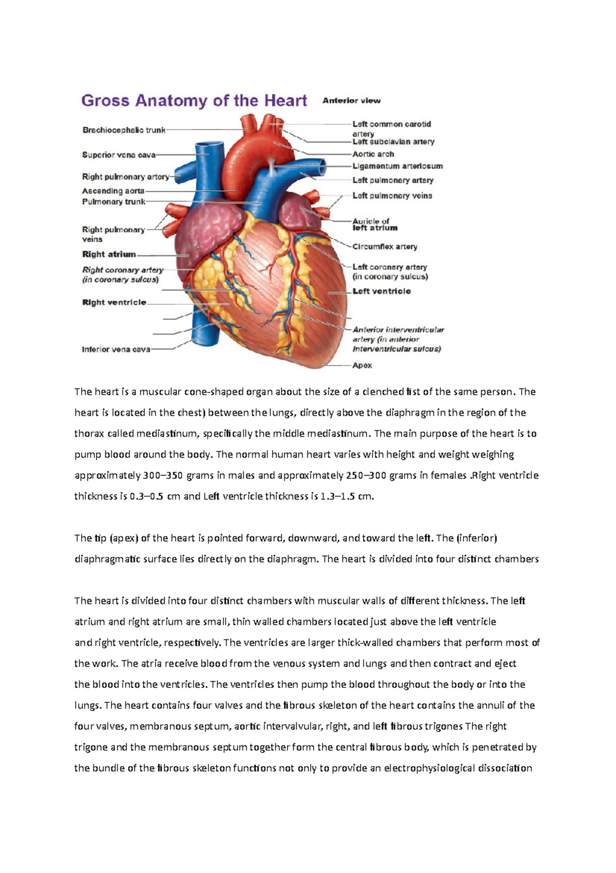 Assignment 1 Anatomy AND Physiology FO Physical Education AND Sport ...