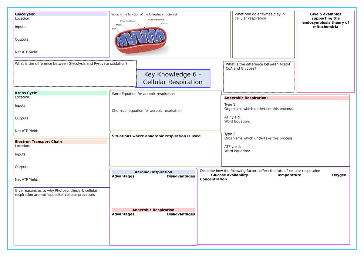 Cellular respiration - revision - Situations where anaerobic ...