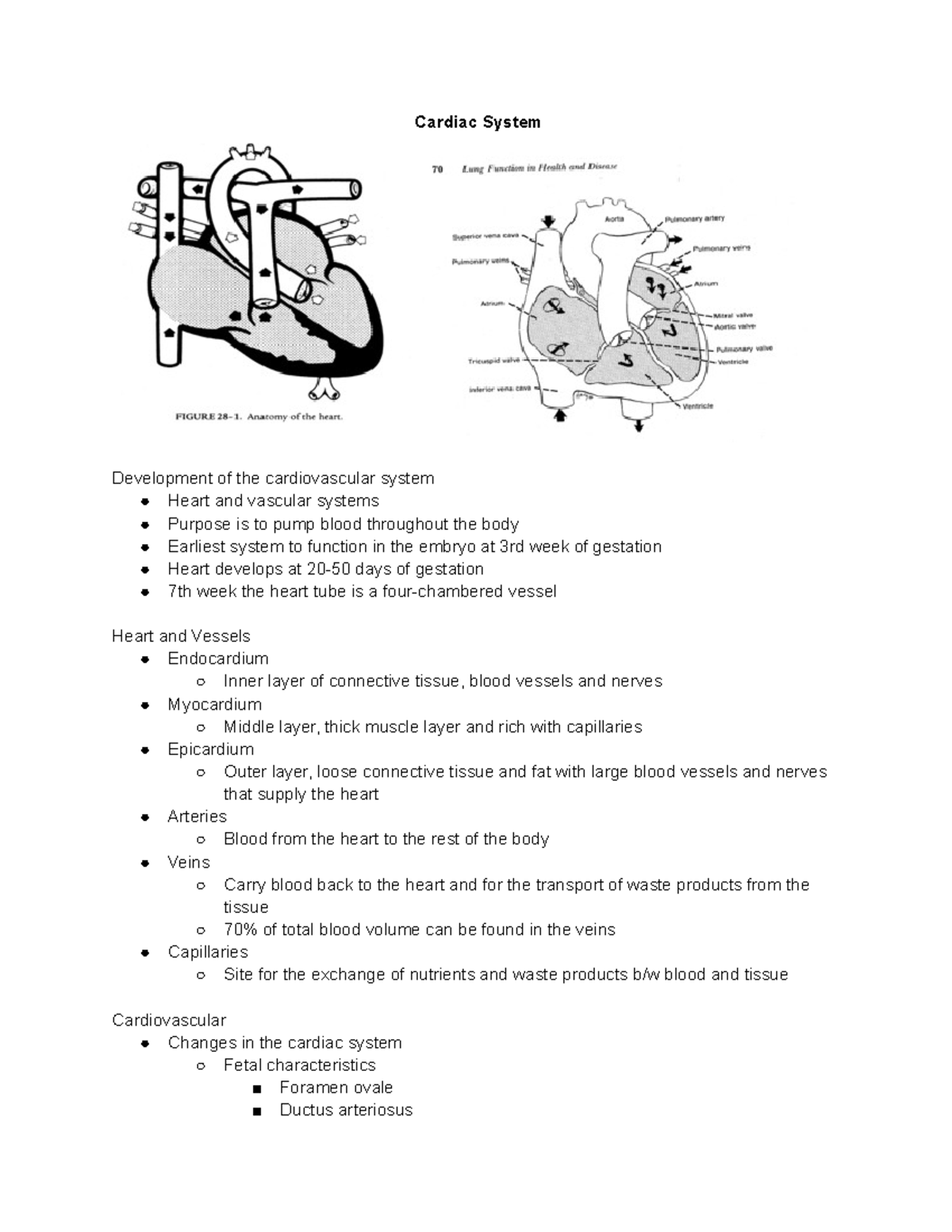 Cardiopulmonary Systems - Cardiac System Development of the ...