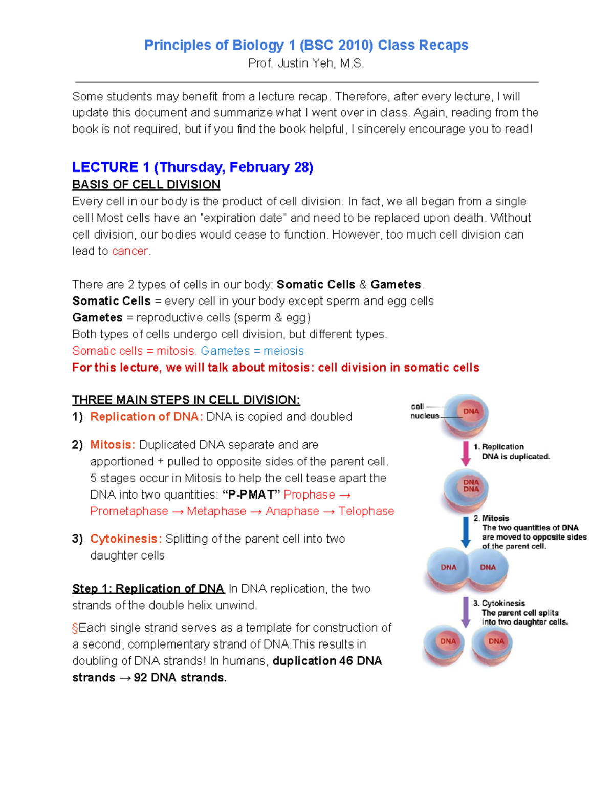BSC 2010 Summary 3 - Prof. Justin Yeh, M. Some students may benefit ...