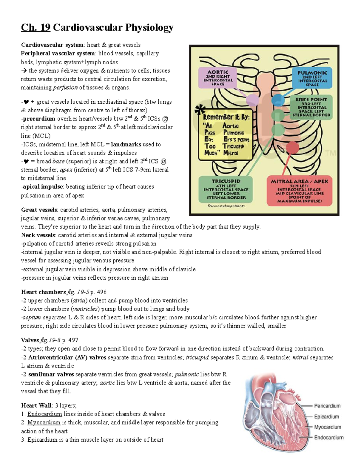 Summary Health Assessment In Nursing Lecture - Ch. 19 Cardiovascular ...