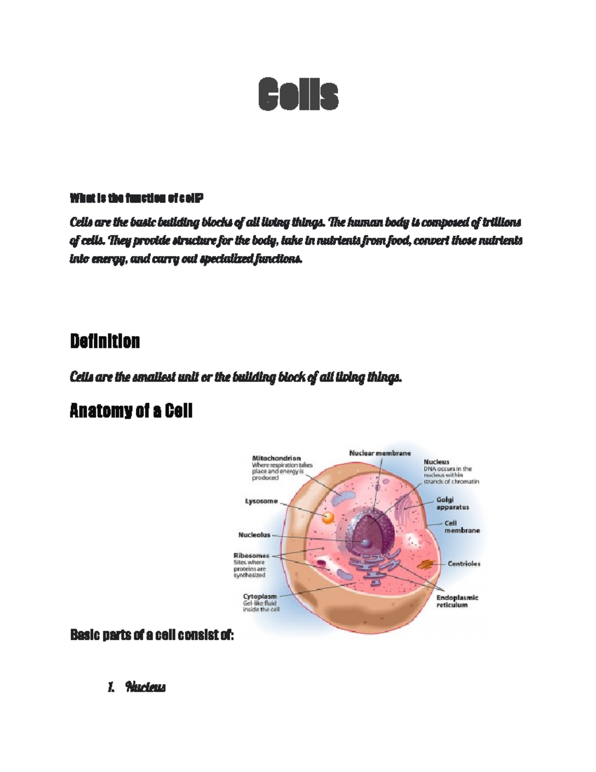 cells-review-this-now-cells-what-is-the-function-of-cell-cells-are