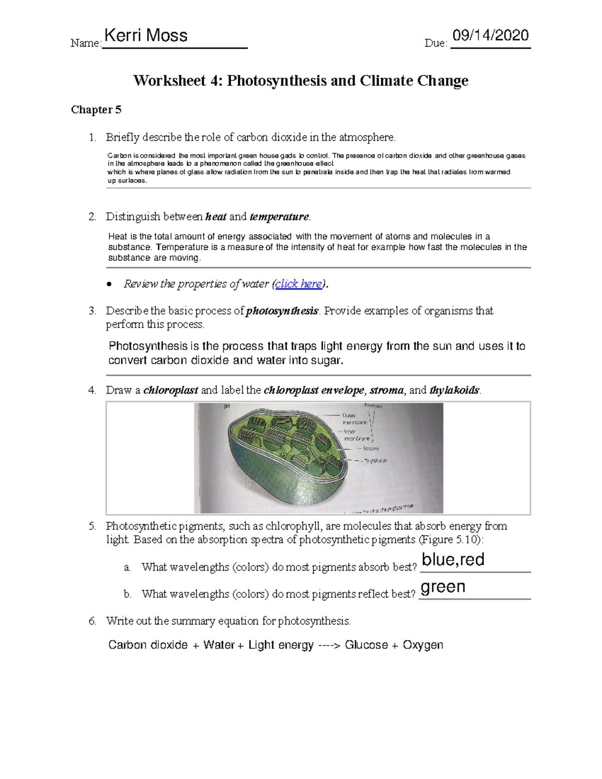 WS4-Photosynthesis-fillable - Name: Due: Worksheet 4: Photosynthesis ...