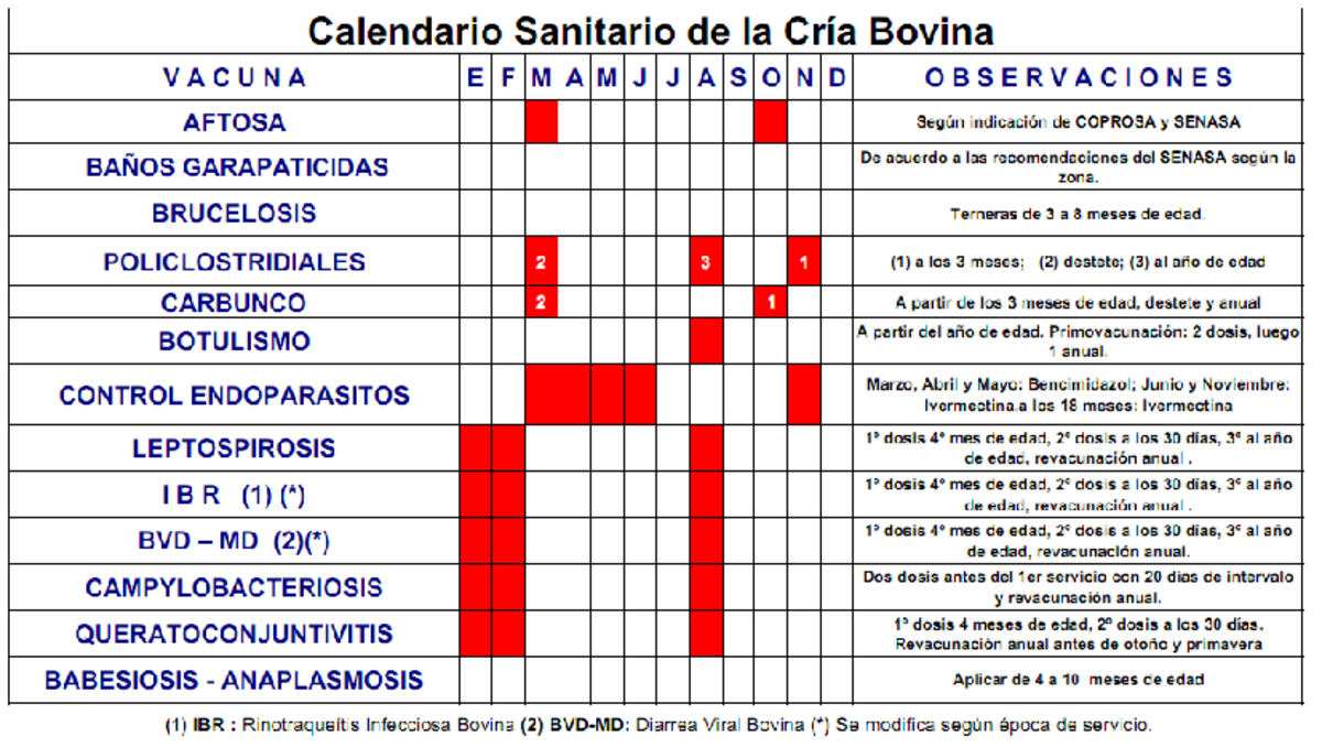 Calendarios-sanitarios-03 - Calendario Sanitario de la Cría Bovina