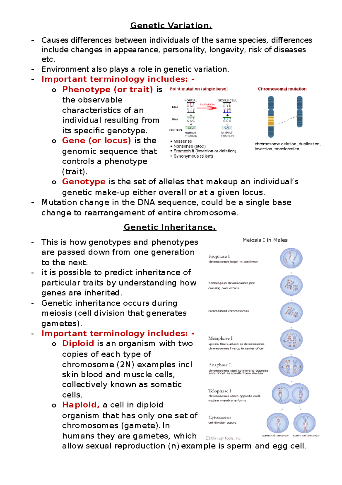 genetic-variation-revision-guide-genetic-variation-causes