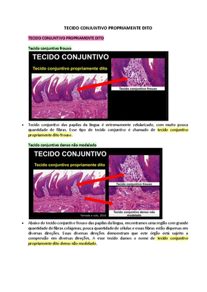 Tecidos - Resumo Histologia Humana - TECIDOS Os Tecidos Por E Matriz ...