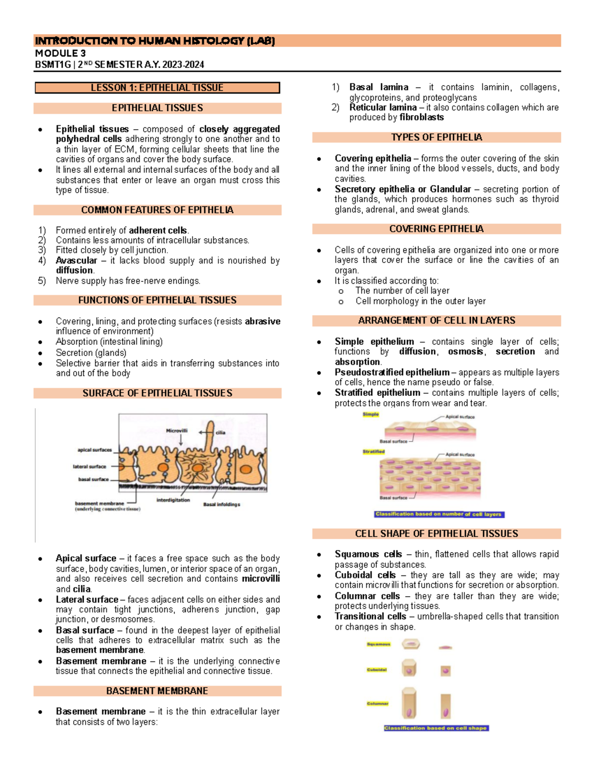 Histo-LAB- Module-3 - Summary Human Histology - MODULE 3 BSMT1G | 2ND ...