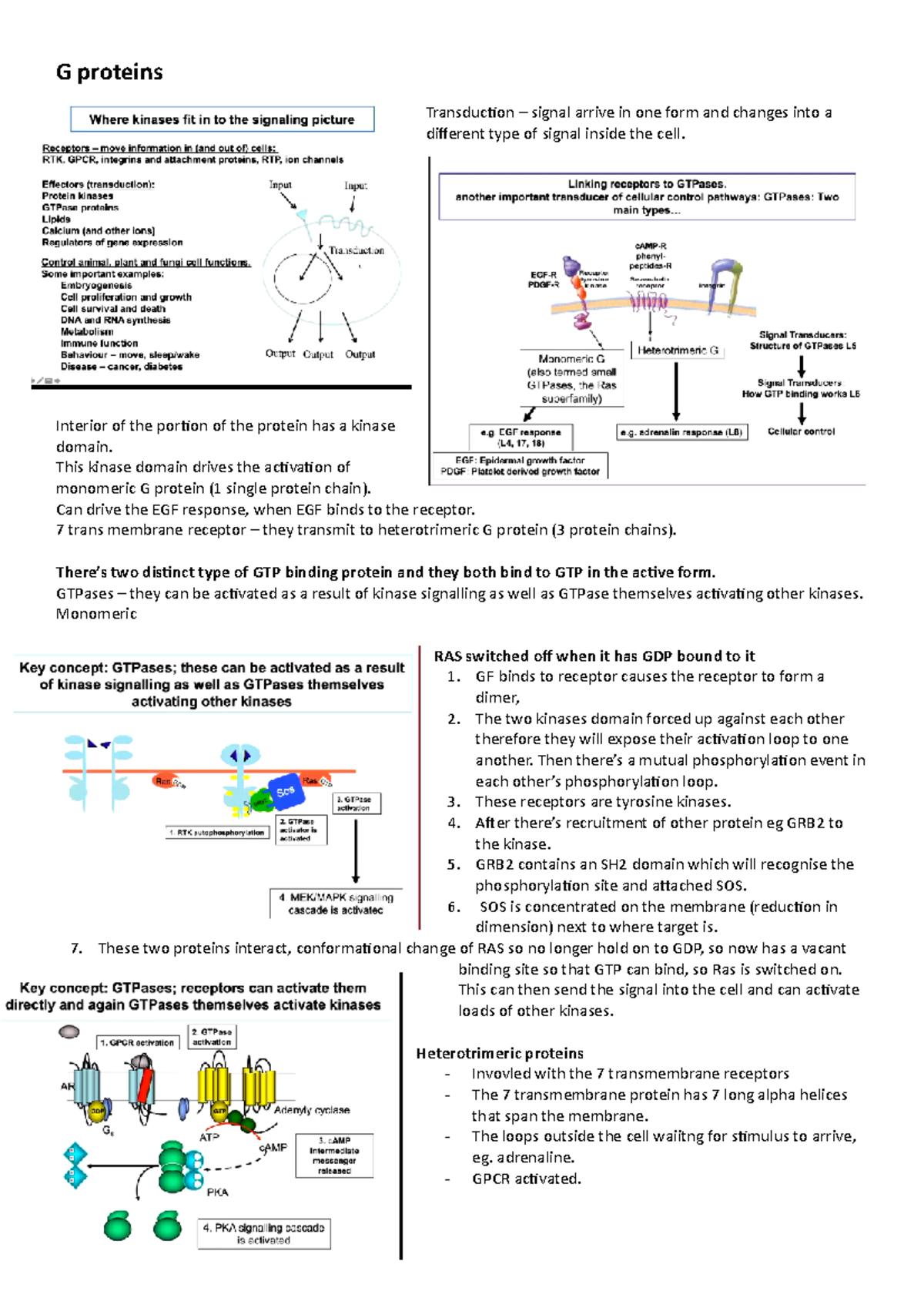 G proteins Lecture notes Lectures 48 G proteins Transduction