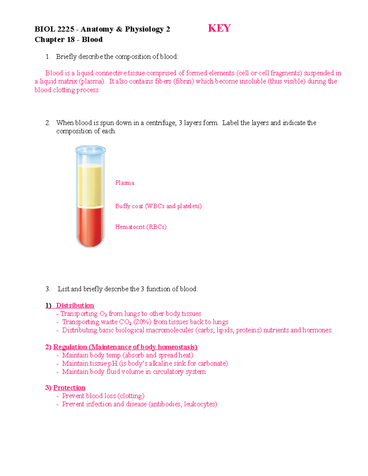 Exam Review Worksheet - Chapter 18 Key - Biol 2225 - Anatomy 