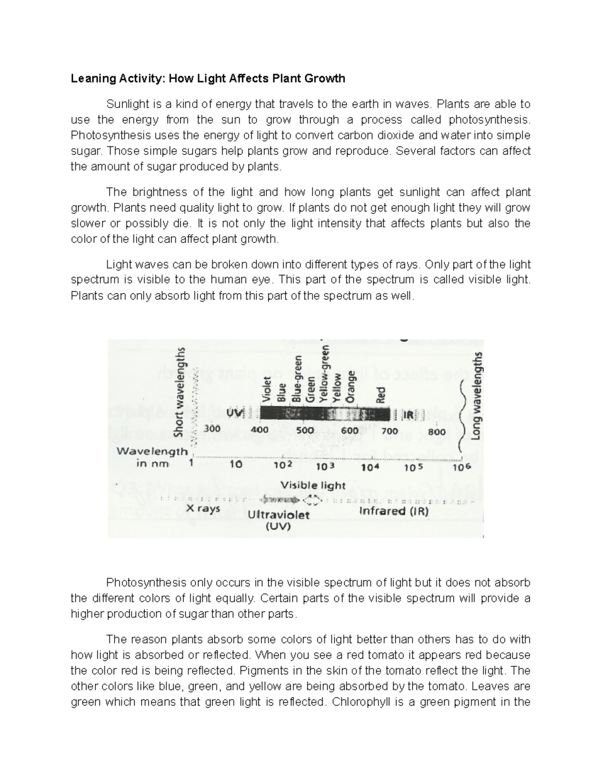 How Light Affects Plant growth Leaning Activity How Light Affects