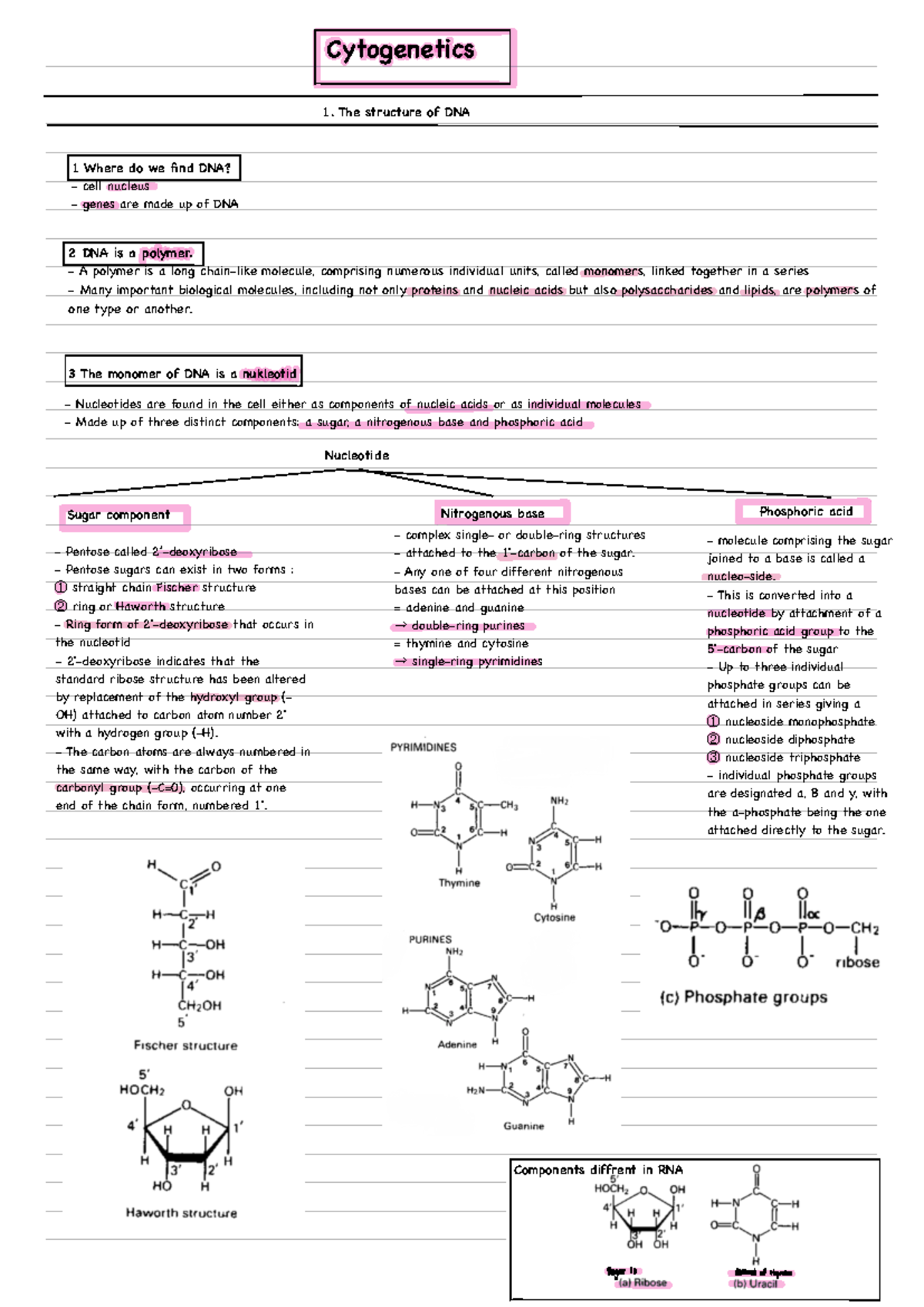 Cytogenetics - Cytogenetic material notes for DRKN211 - Cytogenetics ...