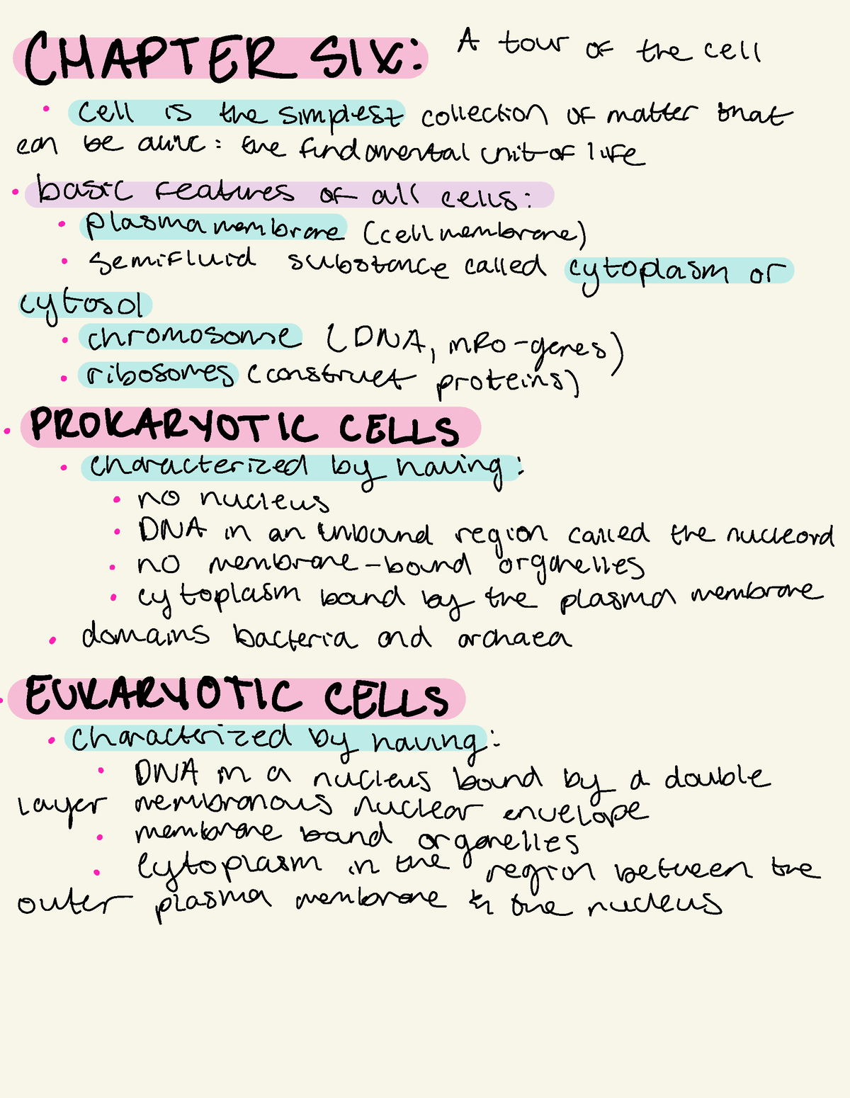 BSC2010 Chapter 6 Notes - CHAPTER SIX : A tour of the cell ^ Cell is ...